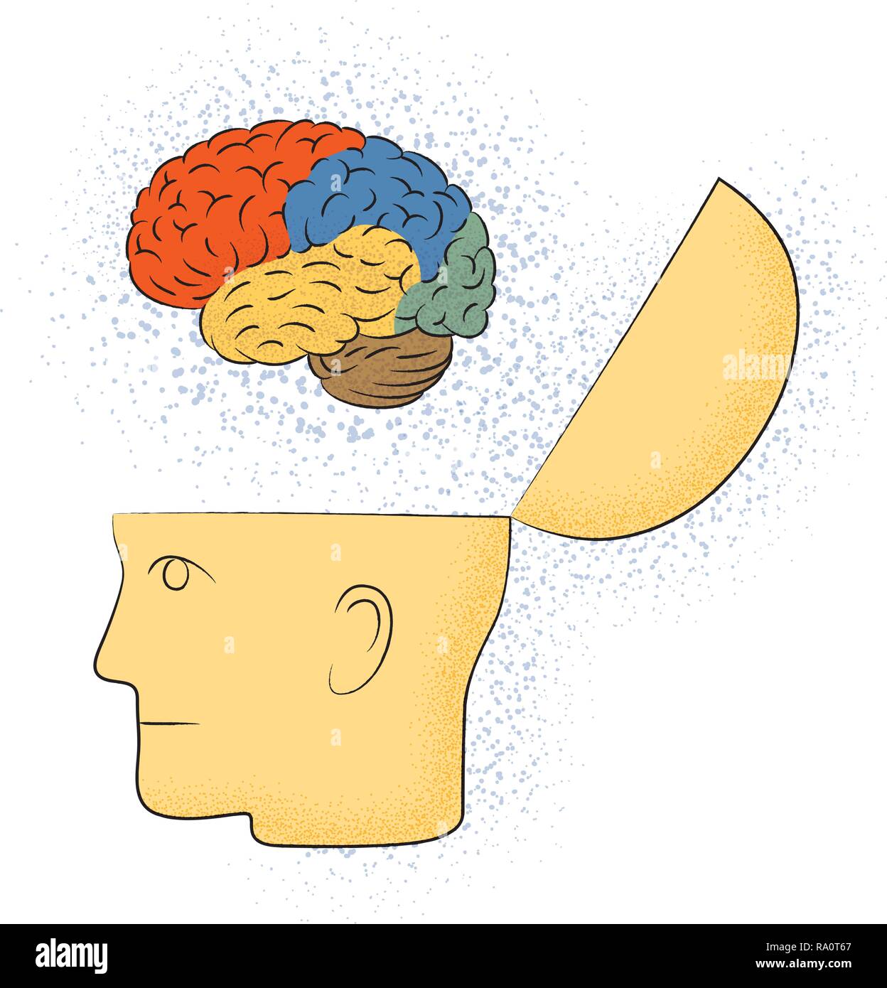 Symbolic drawing of the head with the brain Stock Vector Image & Art ...