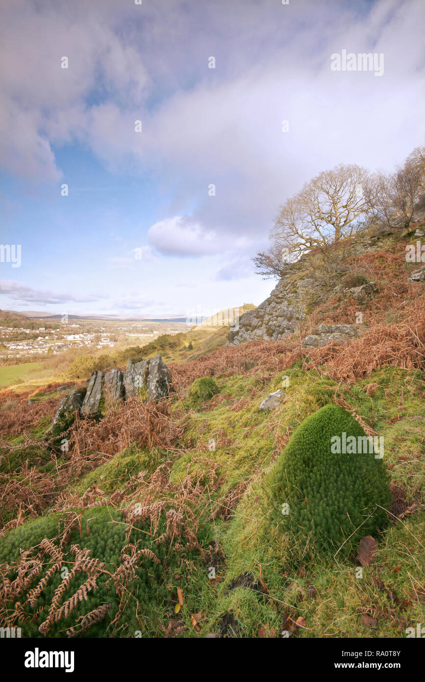 Ystalyfera hires stock photography and images Alamy
