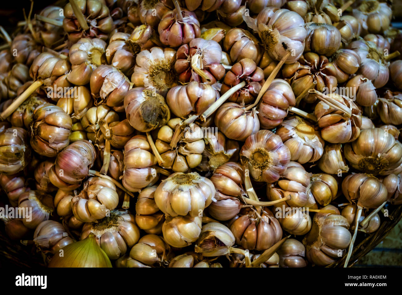 Market basket of garlic bulbs Stock Photo