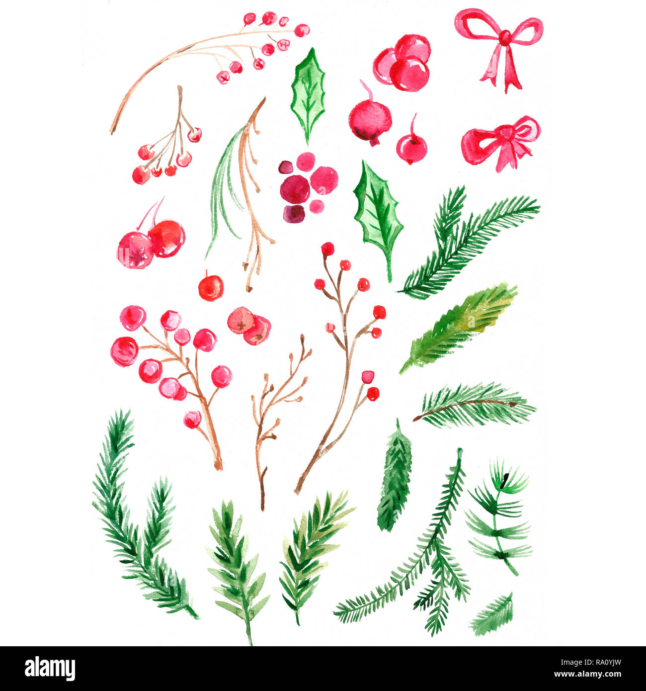 Hand Drawn Fir Tree Branches Stock Photos & Hand Drawn Fir Tree
