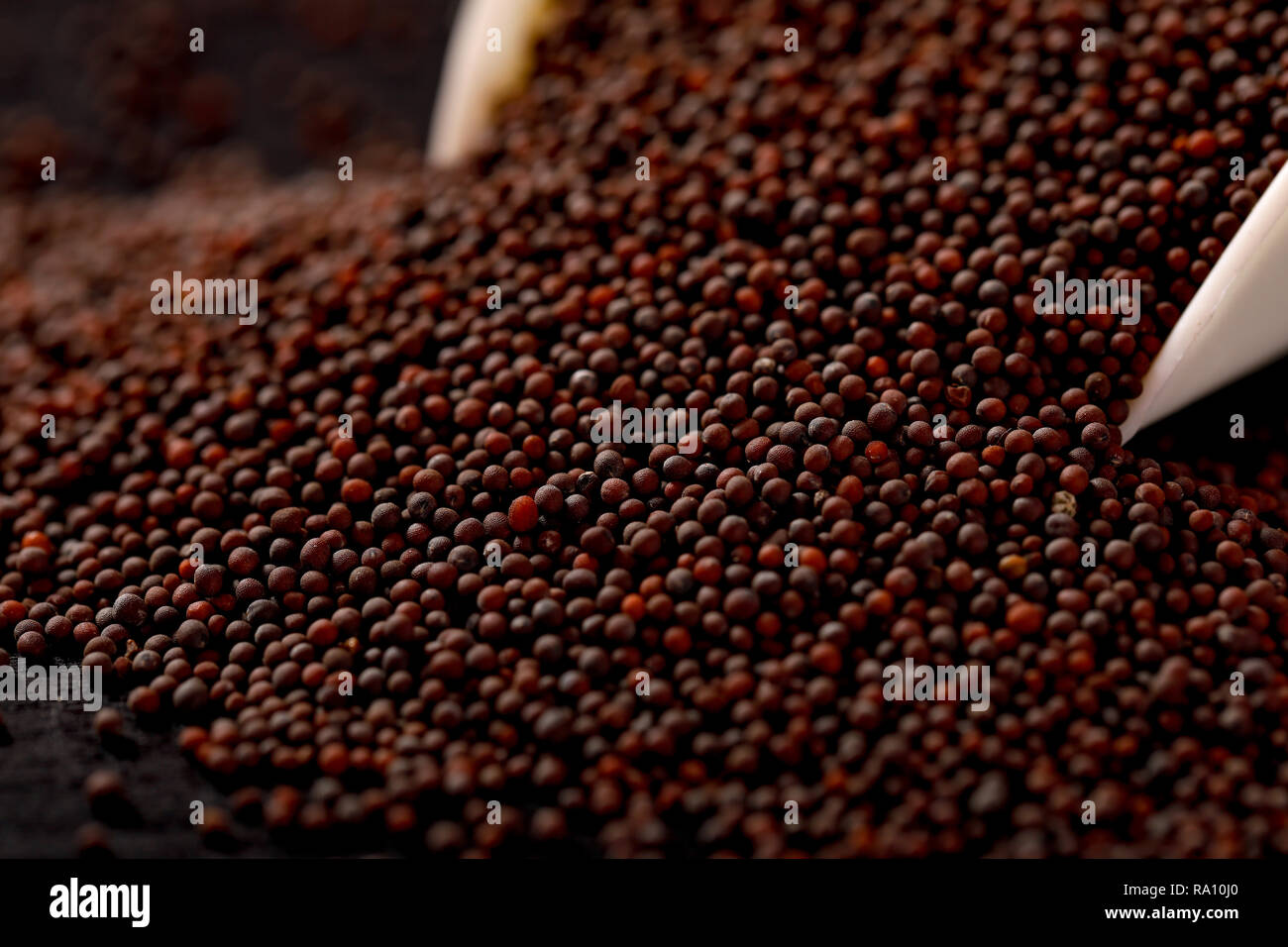 Mustard seed in spoon on black background Stock Photo Alamy