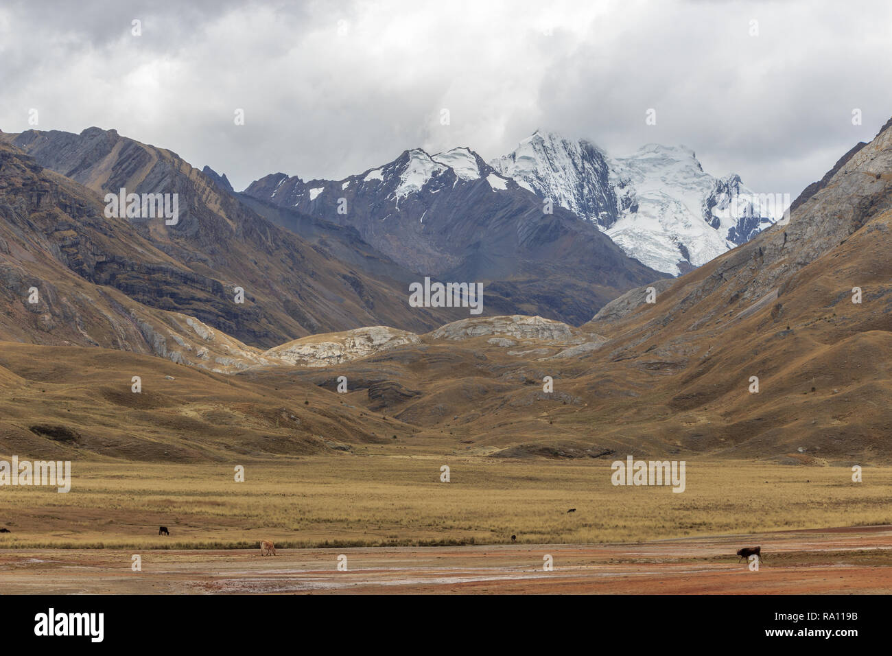 beautiful landscape view of Huascaran National Park in peru Stock Photo