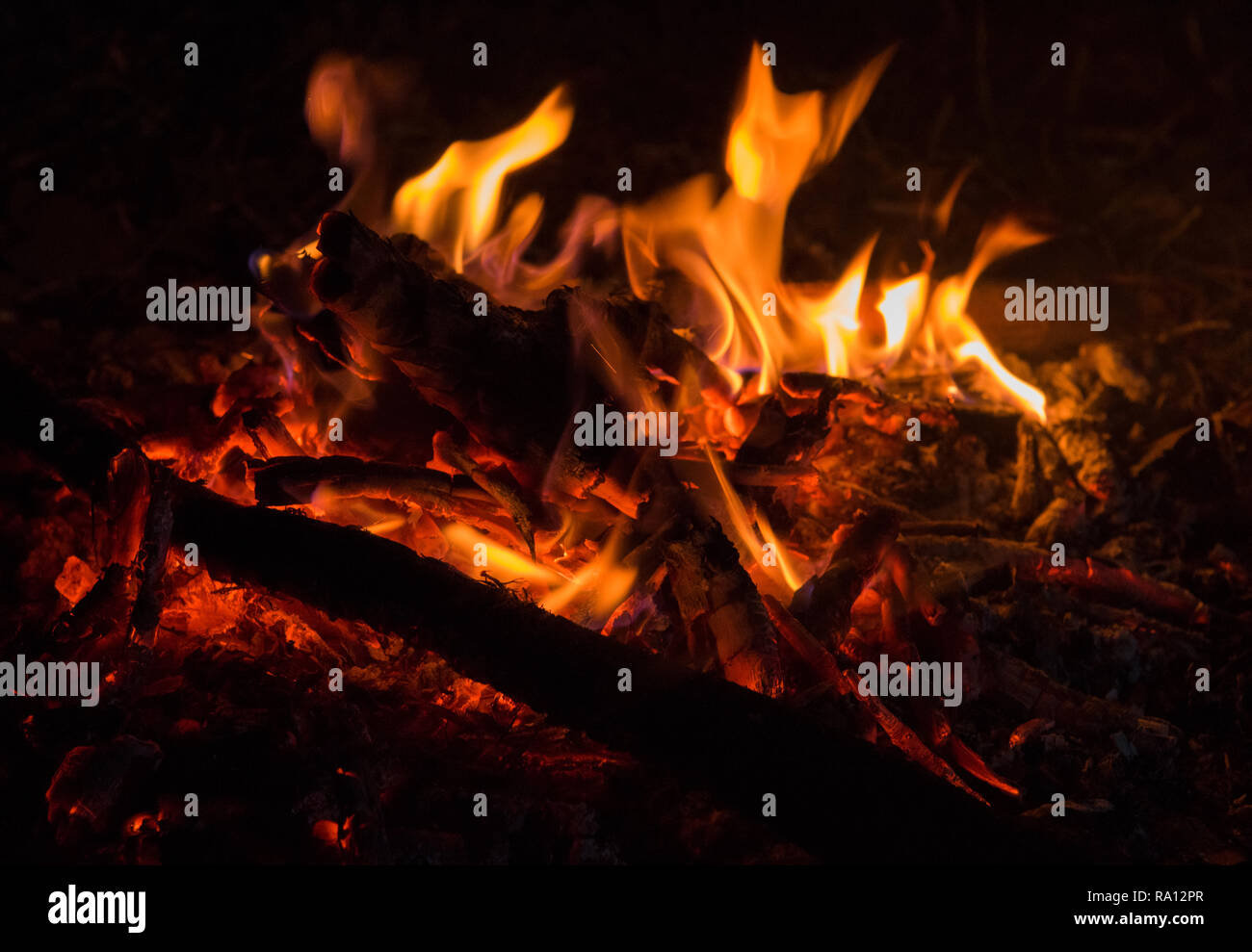 Closeup Detail Of Wood Burning On Small Bonfire With Glowing