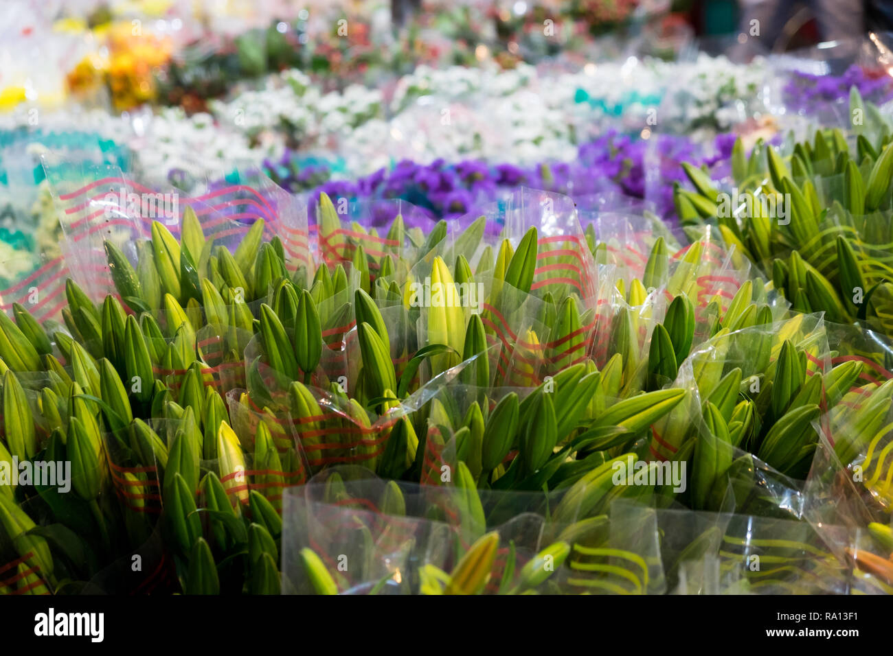 Beautiful flowers with blurred background can be used for commercial