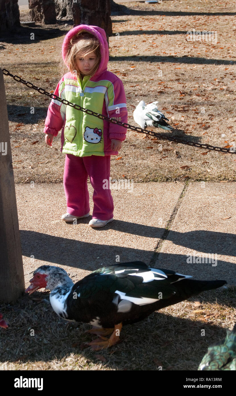 Noelle Smith feeds the ducks at Highland Park in Meridian, Mississippi. Stock Photo