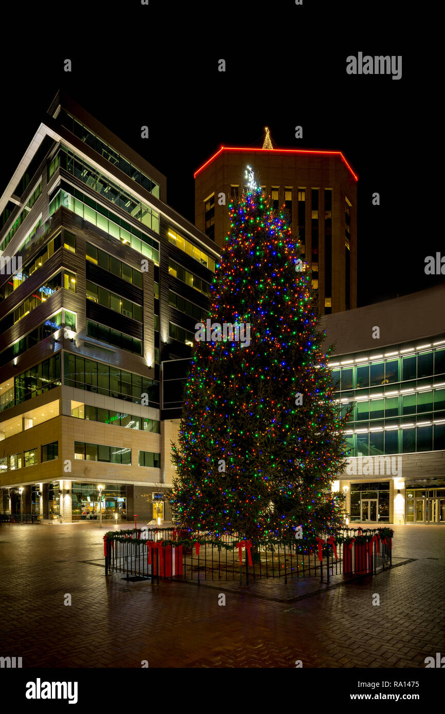 Boise Christmas 2024 Candy Corliss