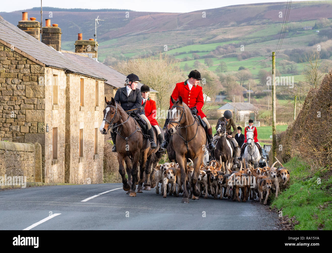 Preston, Lancashire, UK. 29th December, 2018. Hounds and horses out drag hunting on a fine afternoon near Preston, Lancashire. Credit: John Eveson/Alamy Live News Stock Photo