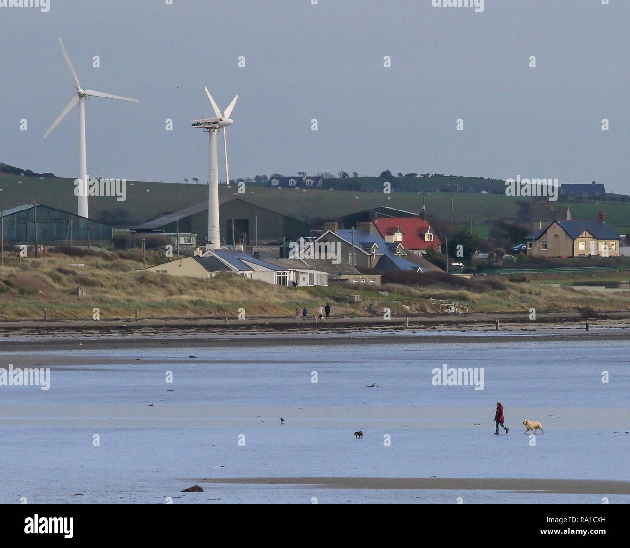 Tyrella People and dog beach in northern ireland hi-res stock photography and ...