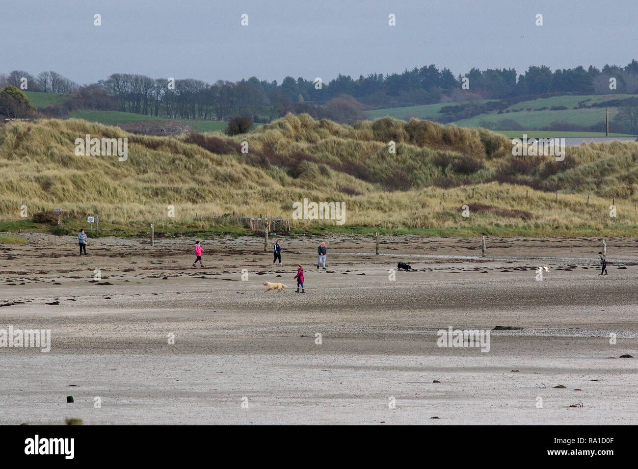 Tyrella People and dog beach in northern ireland hi-res stock photography and ...
