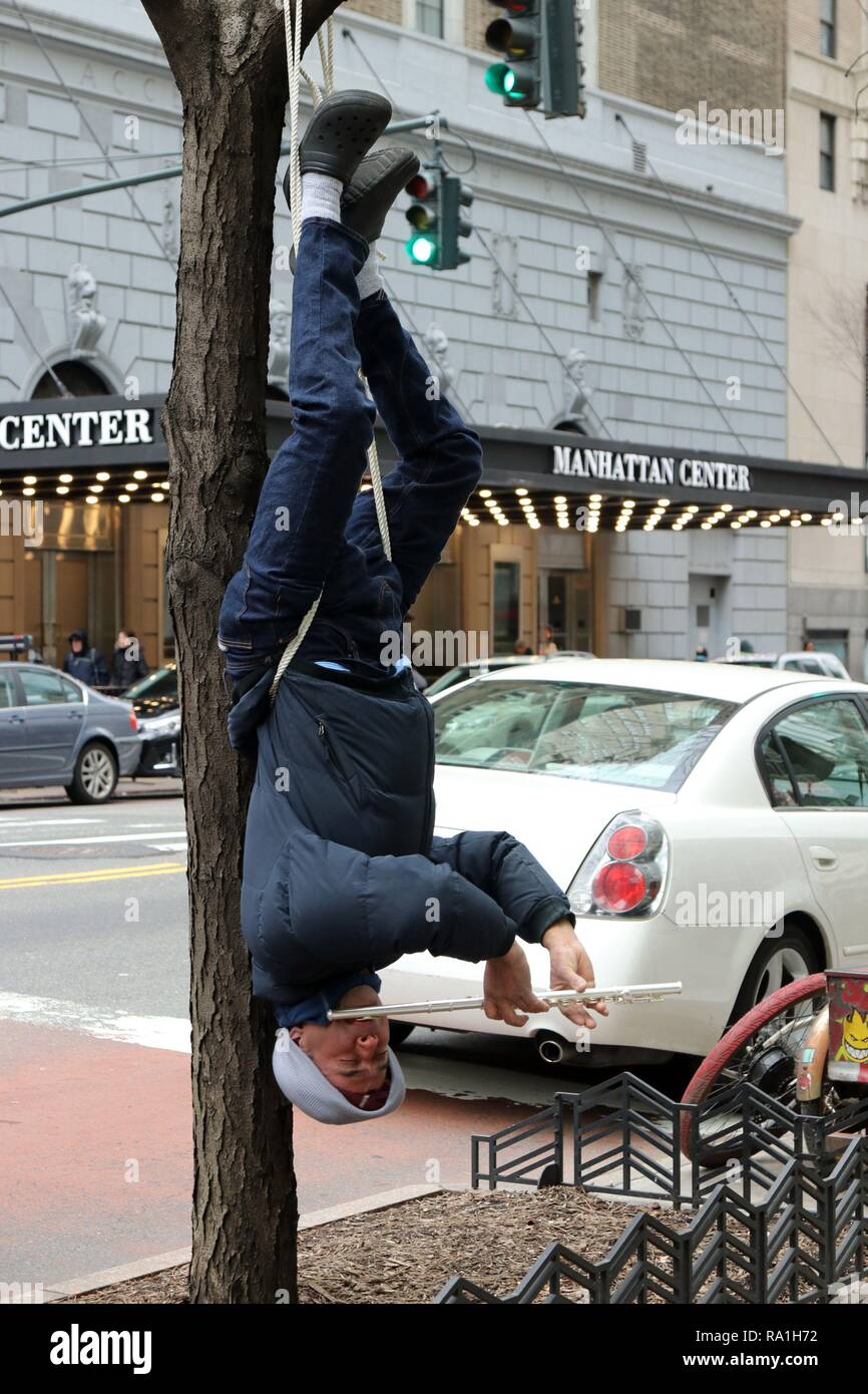 New York, USA. 30th Dec, 2018. At first, you hear him, then you see Jose Cohen of Huntington, Long Island, New York just hanging around, upside down from a tree, playing his flute drawing stares, comments and donations on busy 34th. Street in Manhattan on 30 December 2018. Credit: G. Ronald Lopez/ZUMA Wire/Alamy Live News Stock Photo