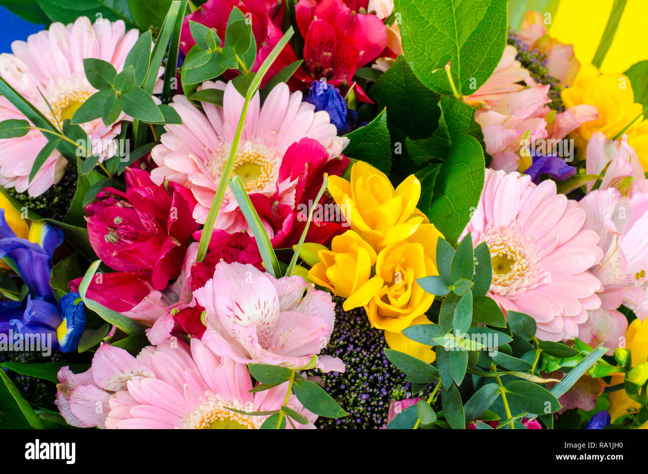 Mix of summer flowers in bouquet on bright background. Studio Photo Stock Photo