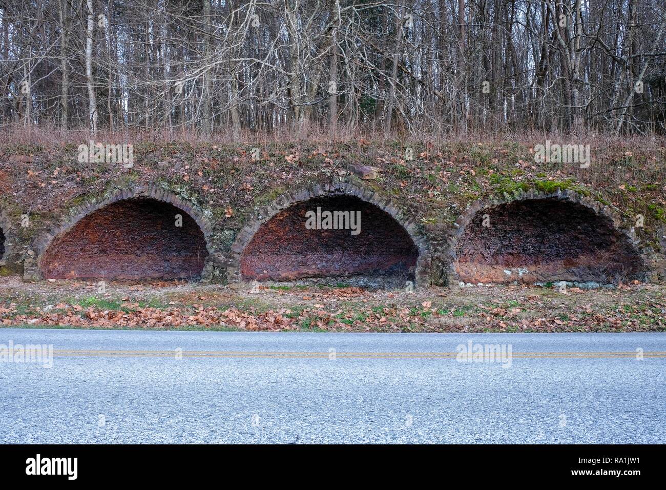 The remnants of three coke ovens by the road at Grundy Lakes Park