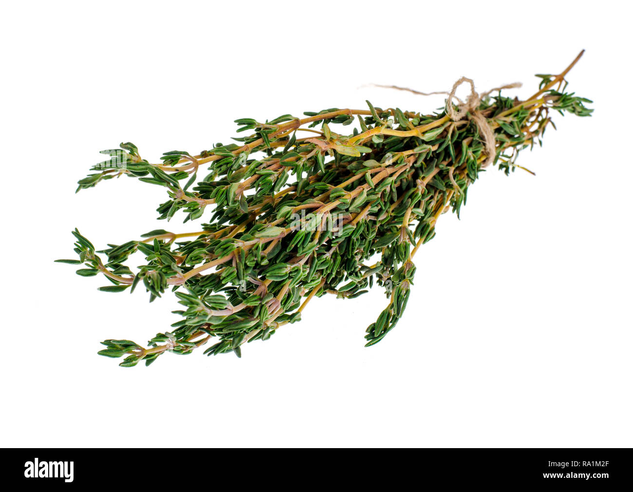 Thyme sprigs, mortar, pestle, herb for cooking. Studio Photo Stock