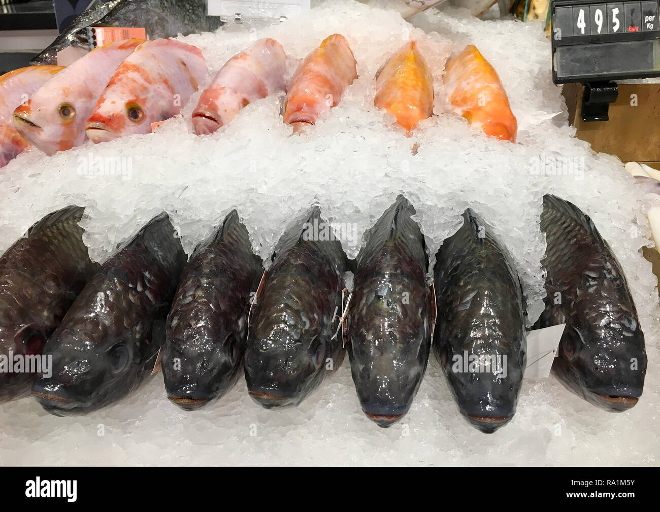 Fresh fish for sell in keeping in the ice to keep its freshness in Thai