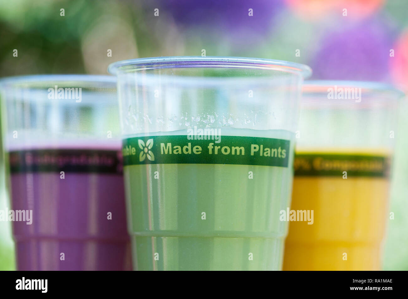 Biodegradable, Compostable plastic free cups made from plant material