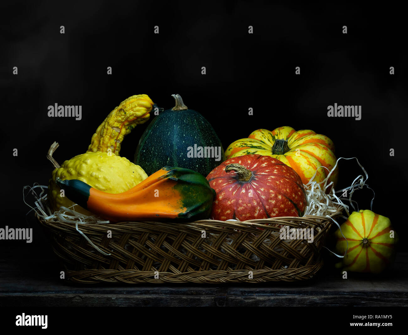 Ornamental gourds, pumpkins, winter squashes in basket. Still life. Chiaroscuro, baroque style light painting. Stock Photo