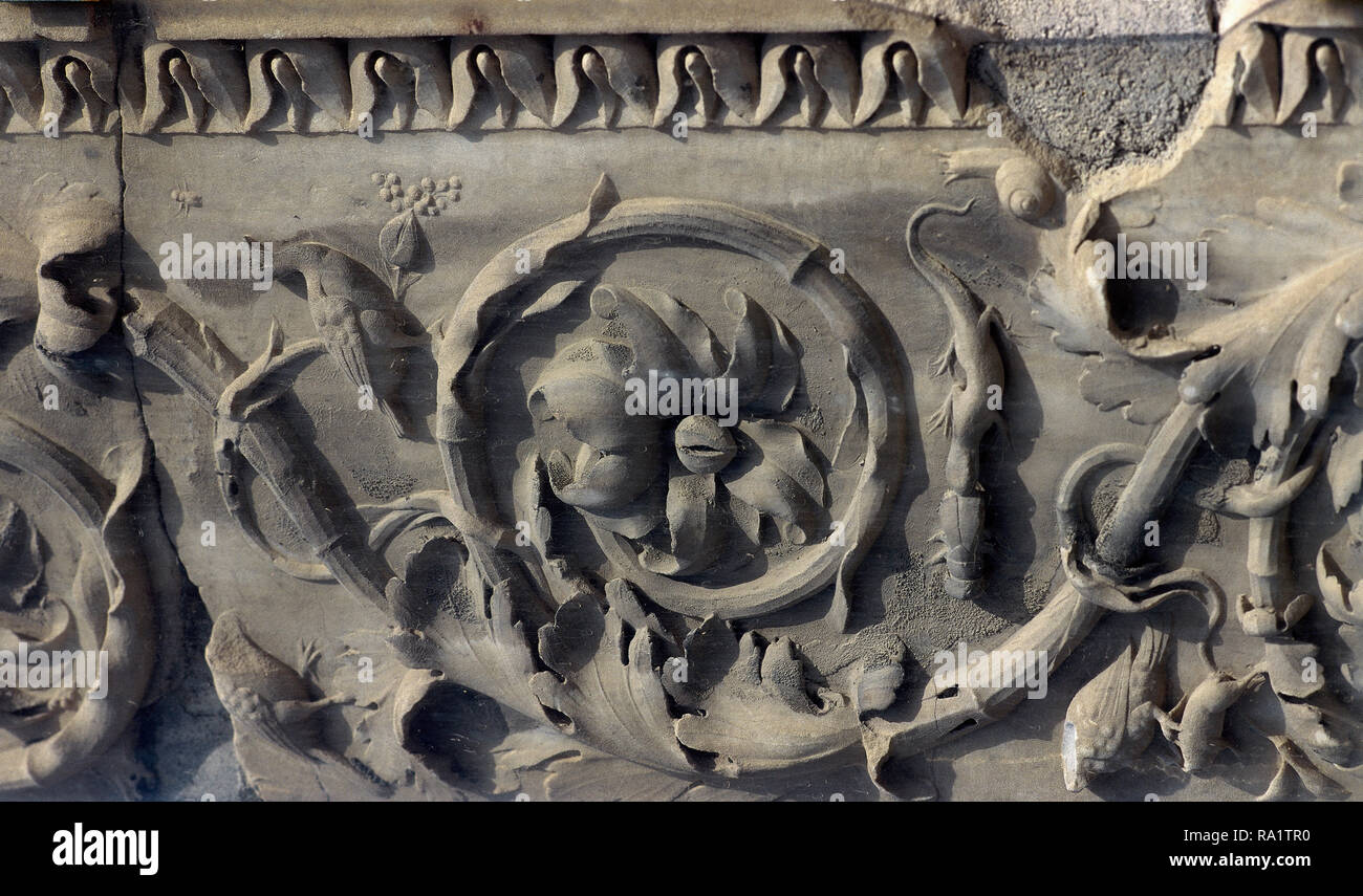 Birds and reptiles hi-res stock photography and images - Alamy