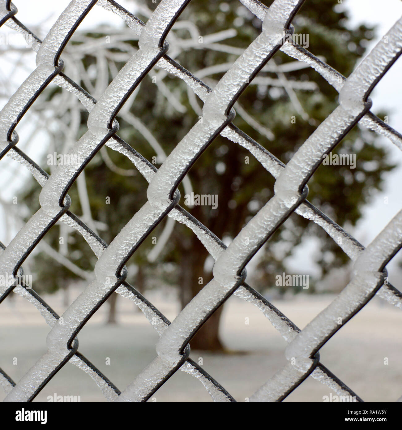 Iced fence surrounding a golf course in Alpine, west Texas. Stock Photo