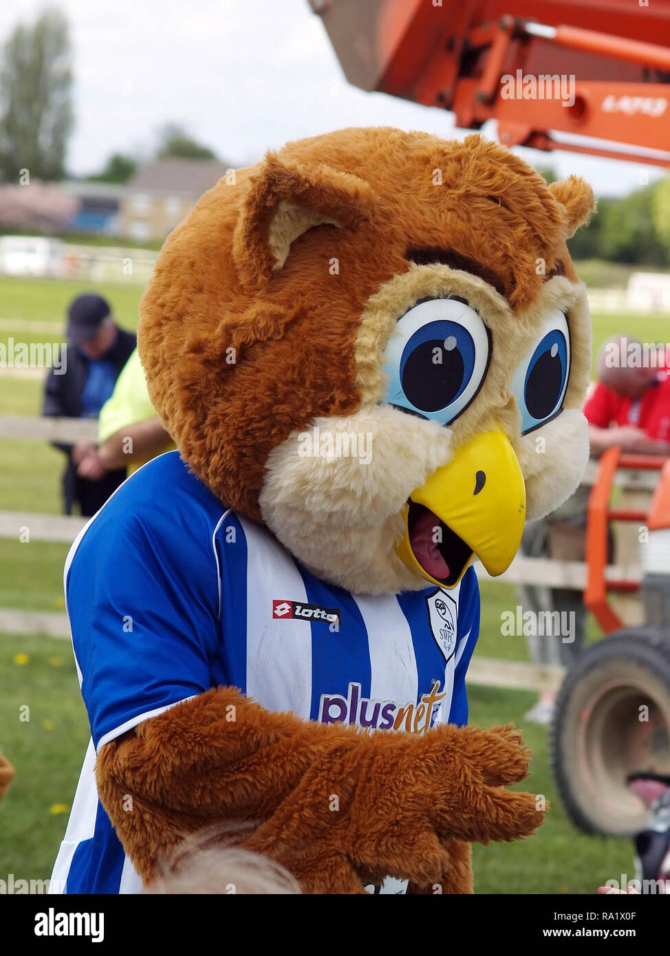 Ollie the owl hires stock photography and images Alamy