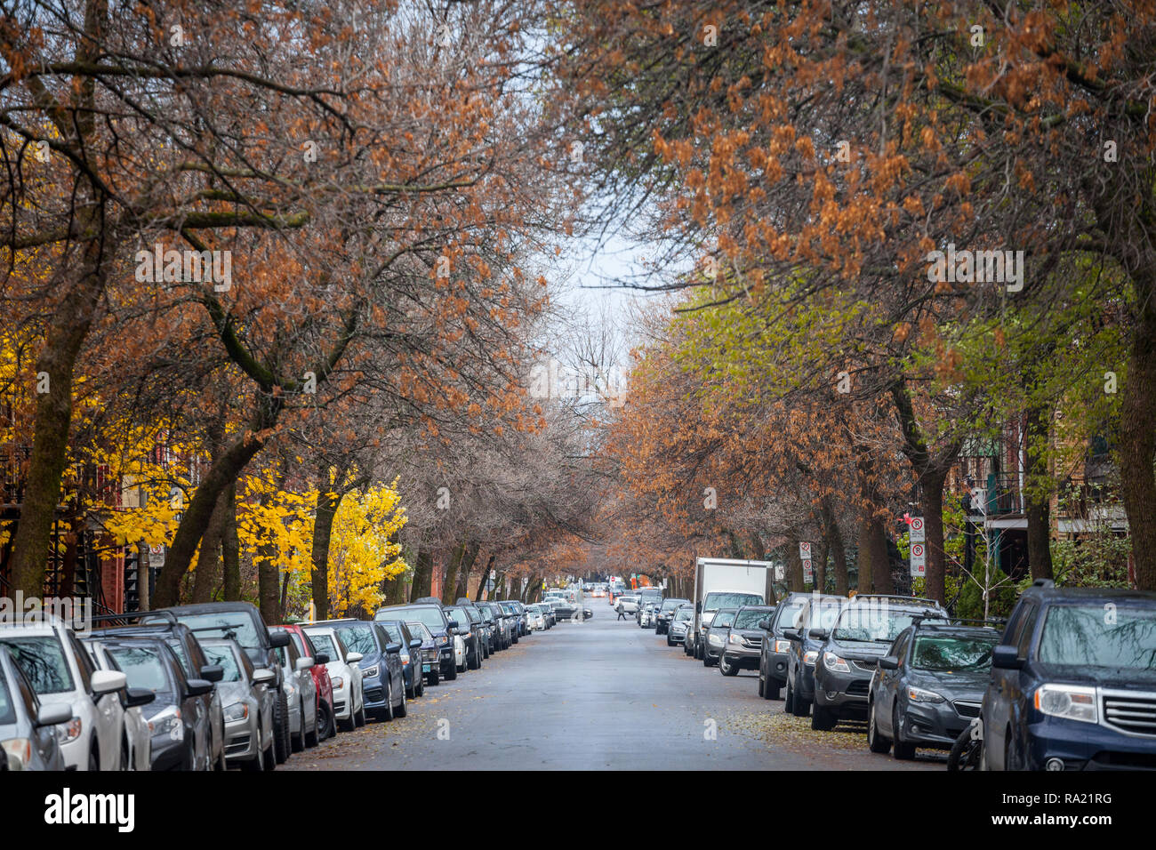 OTTAWA, CANADA - NOVEMBER 6, 2018: Typical north American residential street in autumn in Le Plateau, Montreal, Quebec, during an autumn afternoon, wi Stock Photo