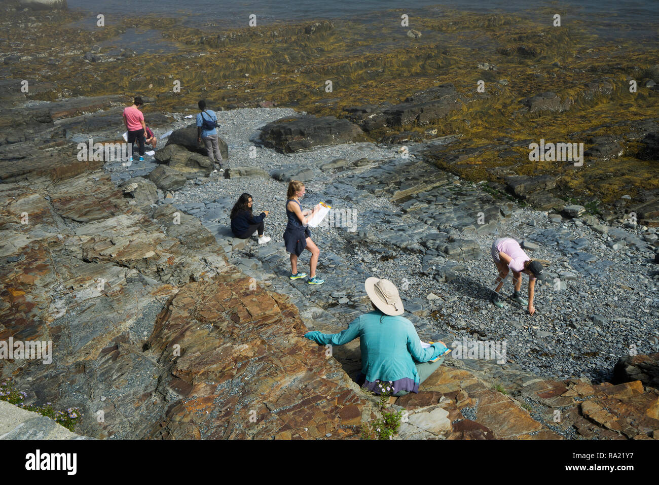 Collecting rocks hi-res stock photography and images - Alamy