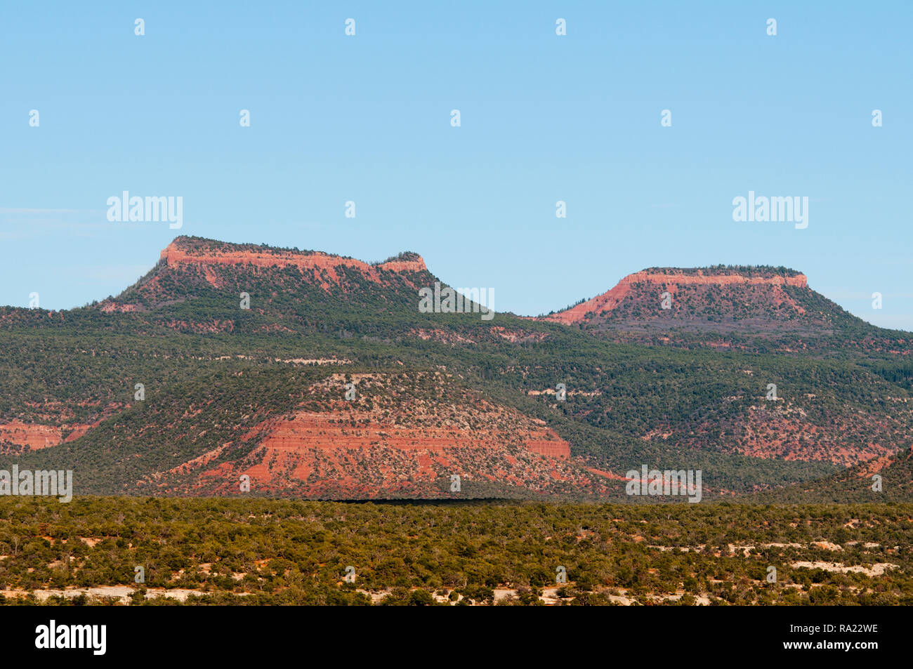 Bears Ears in Bears Ears National Monument in San Juan County in SE Utah USA Stock Photo