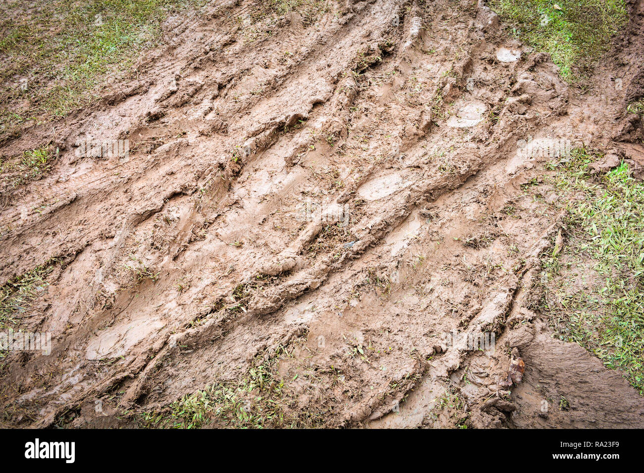 Wheel track on mud / muddy with wheel Tyre tracks dirty drive on mud