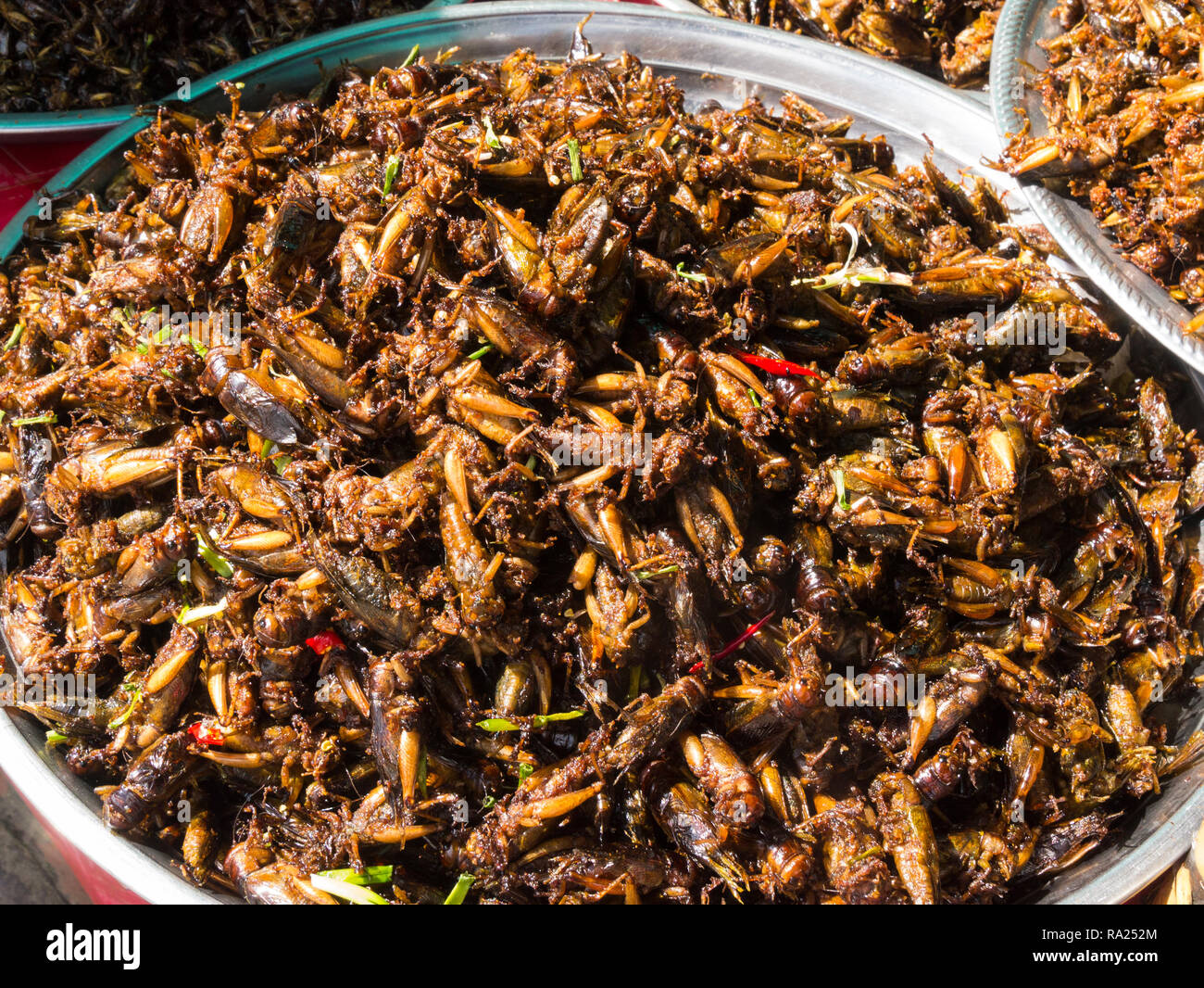 Plate of deep fried locusts for sale in Skuon Town market Internationally rekown market Cambodia Asia also known as Spider Village Stock Photo
