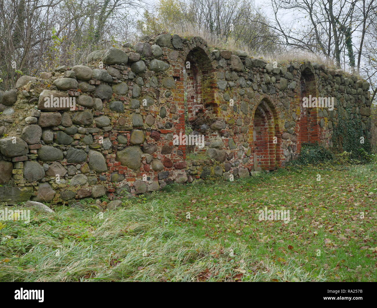 ruin of a church on a background of the forest Stock Photo