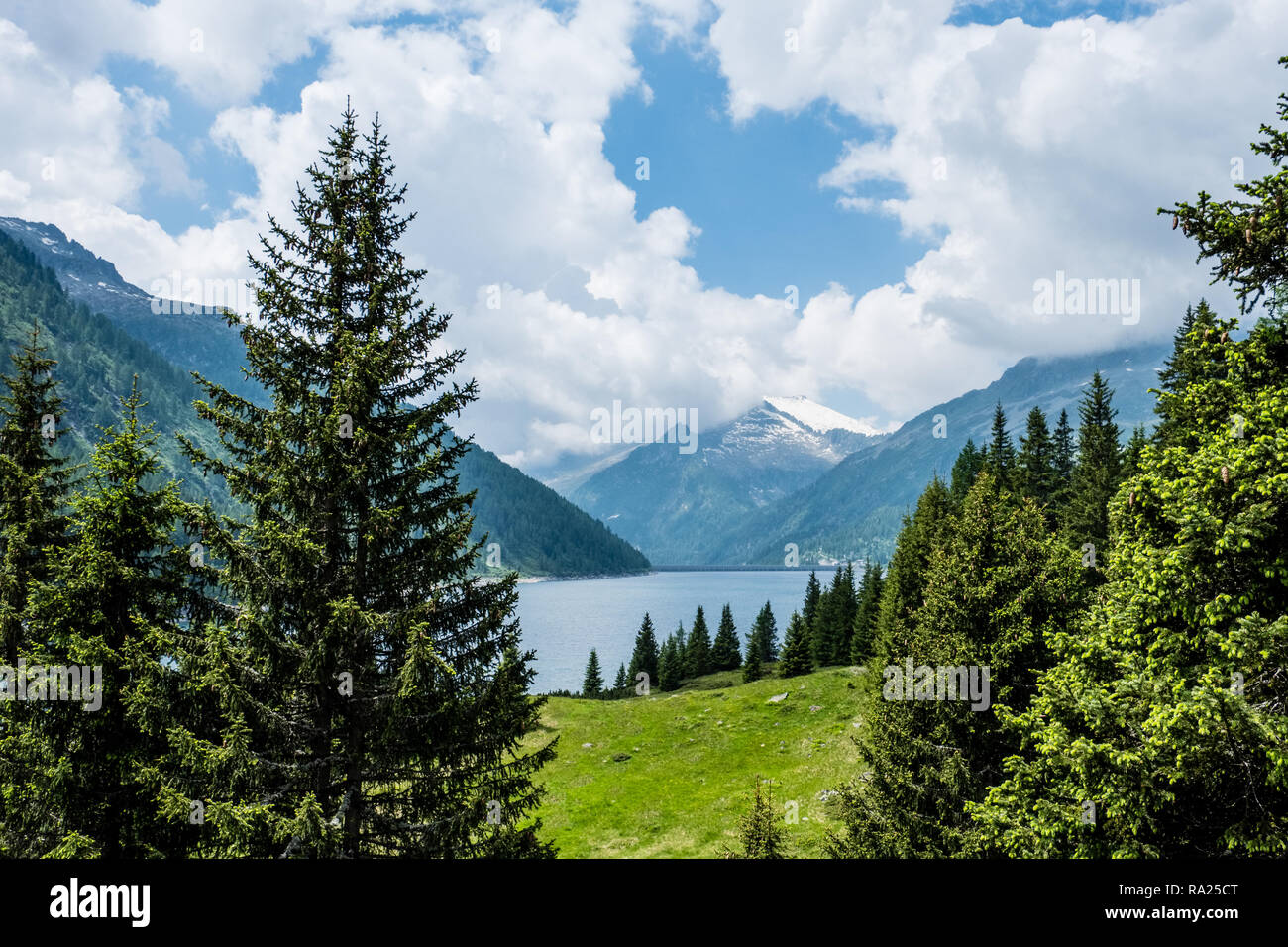 view of lake behind tress in val di fumo Stock Photo