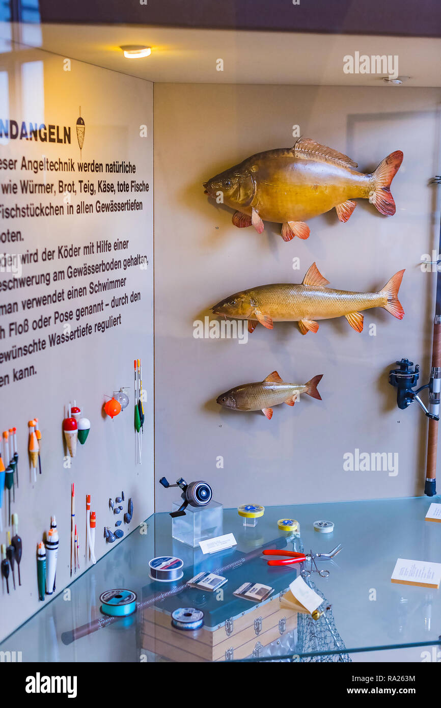 MUNICH, GERMANY - NOVEMBER 24, 2018 :The exposition of the history of  animals, horns and fish instruments of fishing and hunting is a museum of  huntin Stock Photo - Alamy