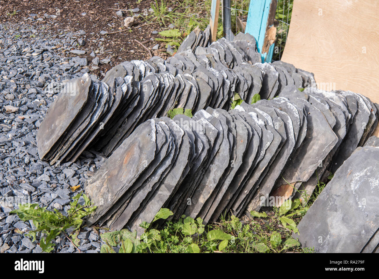 Pile of Bangor Blue slate roof tiles after they have been removed from a roof of abuilding being refurbished. Stock Photo