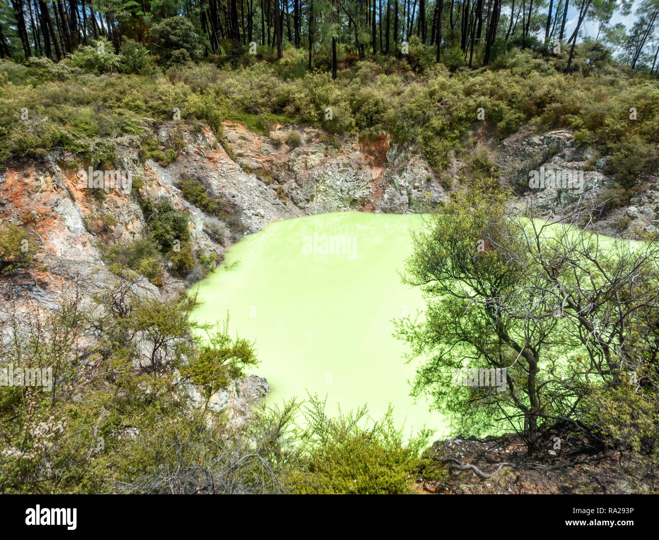 Waiotapu Thermal Wonderland Devil's Bath New Zealand Stock Photo Alamy
