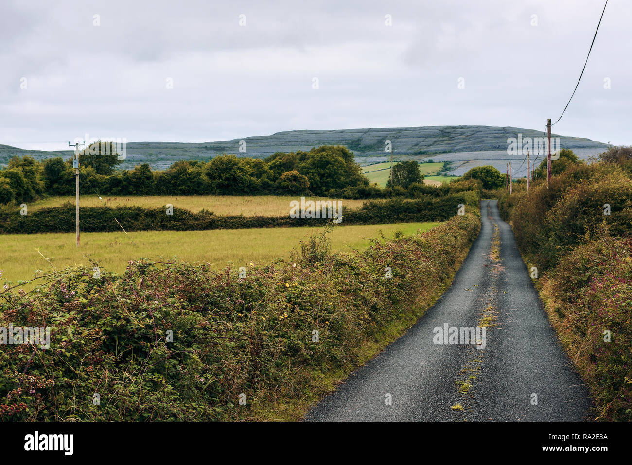 Empty road through The Burren in Ireland Stock Photo