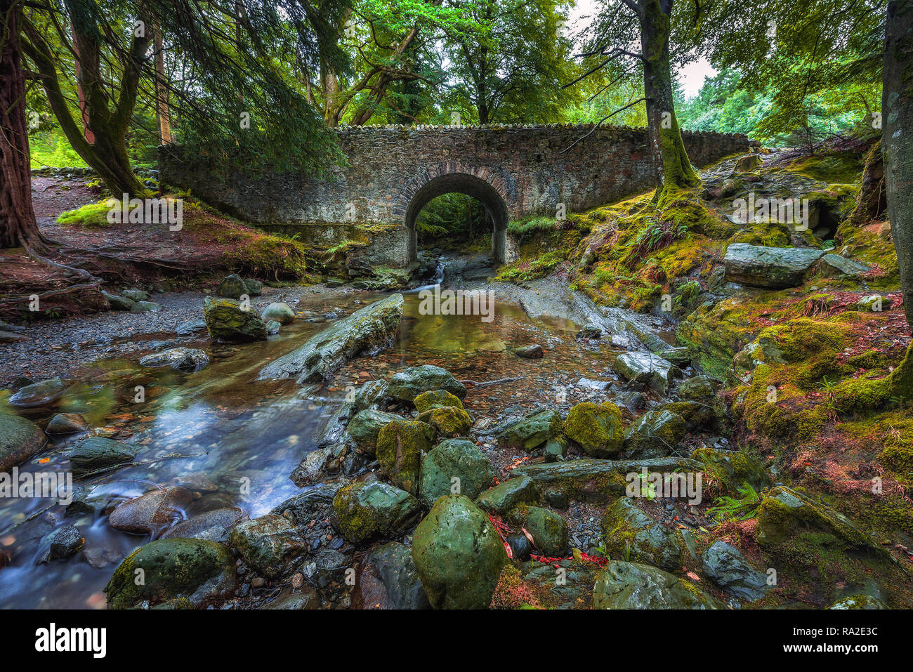 Stone road in forest hi-res stock photography and images - Alamy