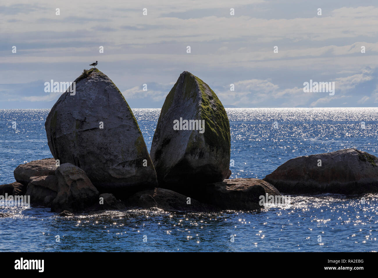 Split Apple Rock seen from the water with black-backed gull on top and sunlight glinting on the water, Abel Tasman National Park. Stock Photo