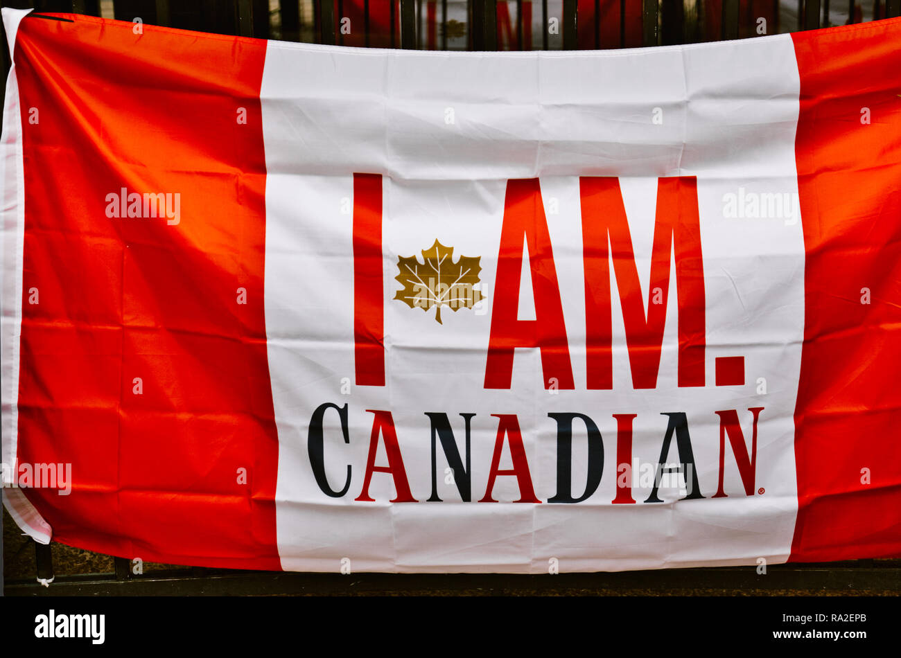 I am Canadian on a Canadian flag, Toronto, Ontario, Canada Stock Photo