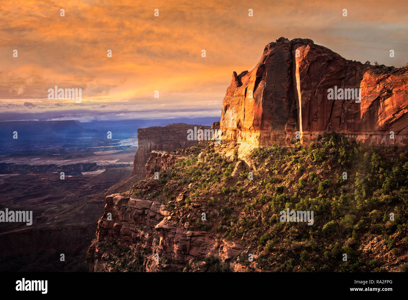 The cliffs overlooking Buck Canyon in Canyonlands National Park, Utah. Stock Photo