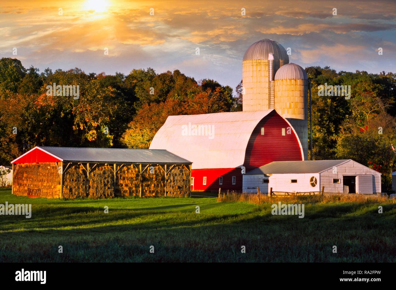 A Family Farm In Minnesota Stock Photo 229937649 Alamy