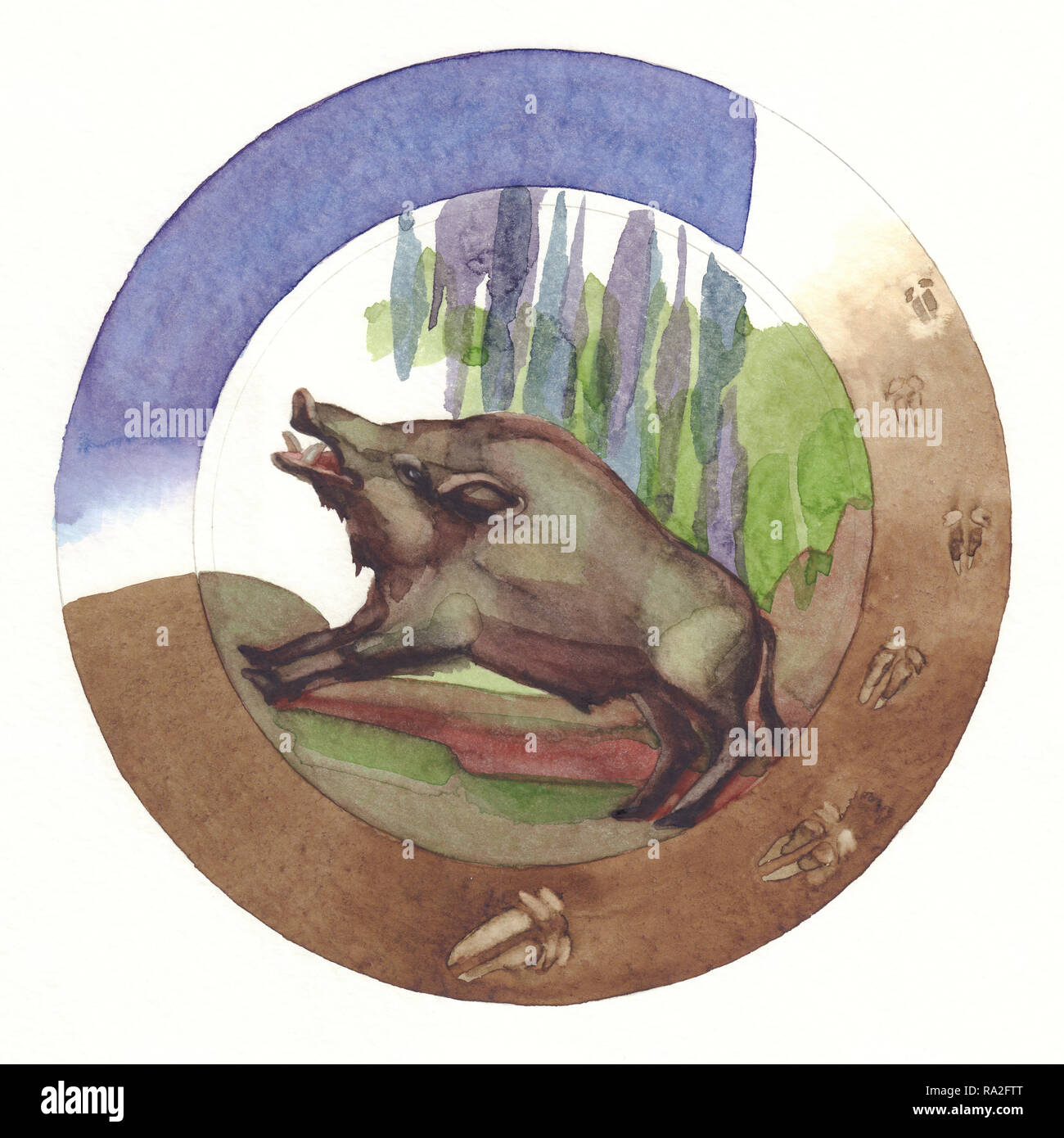 Cartoon illustration wild pig boar Cut Out Stock Images & Pictures - Alamy