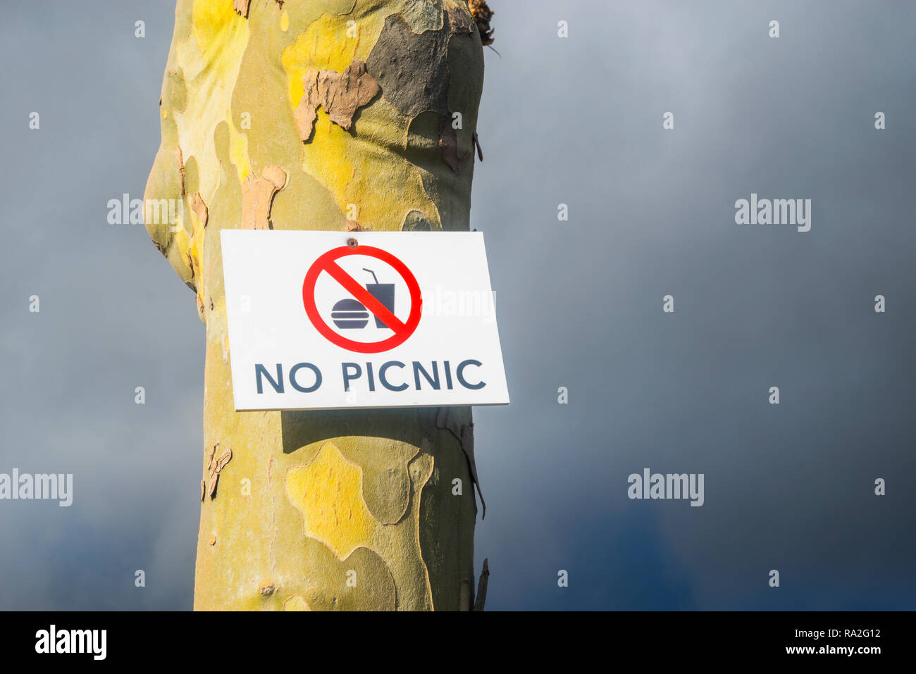 No picnic. Signal on tree trunk. Stock Photo