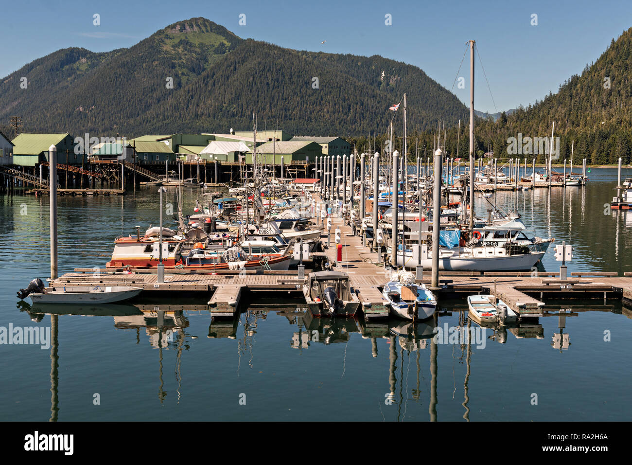 Public marina and port in the tiny village of Petersburg on Mitkof