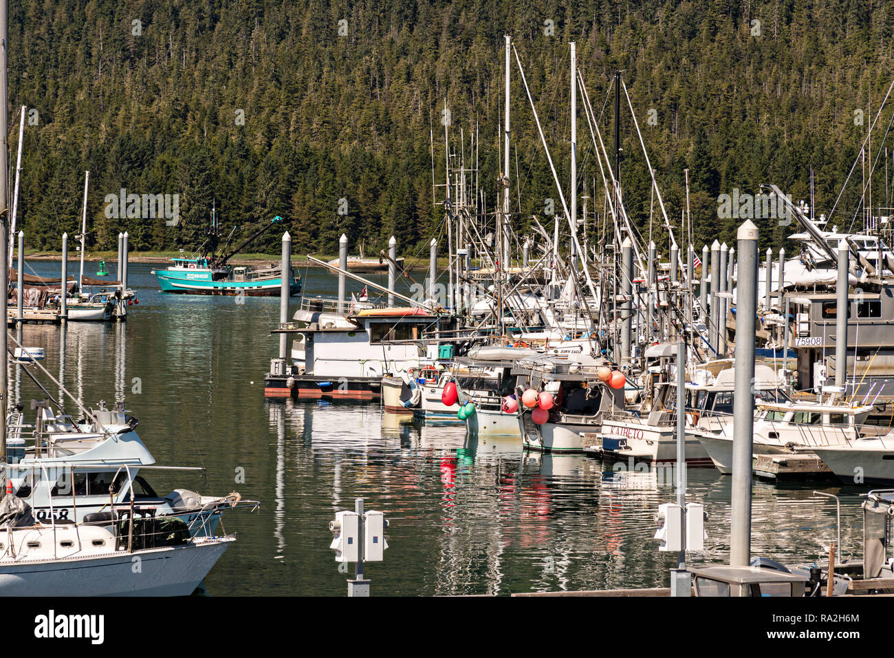 Public marina and port in the tiny village of Petersburg on Mitkof