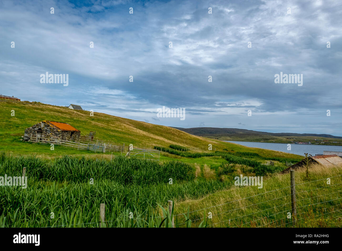 A croft house on a hillside overlooking the North Sea with propering crops in the foreground on the Mainland of the Shetland Islands of Scotland Stock Photo