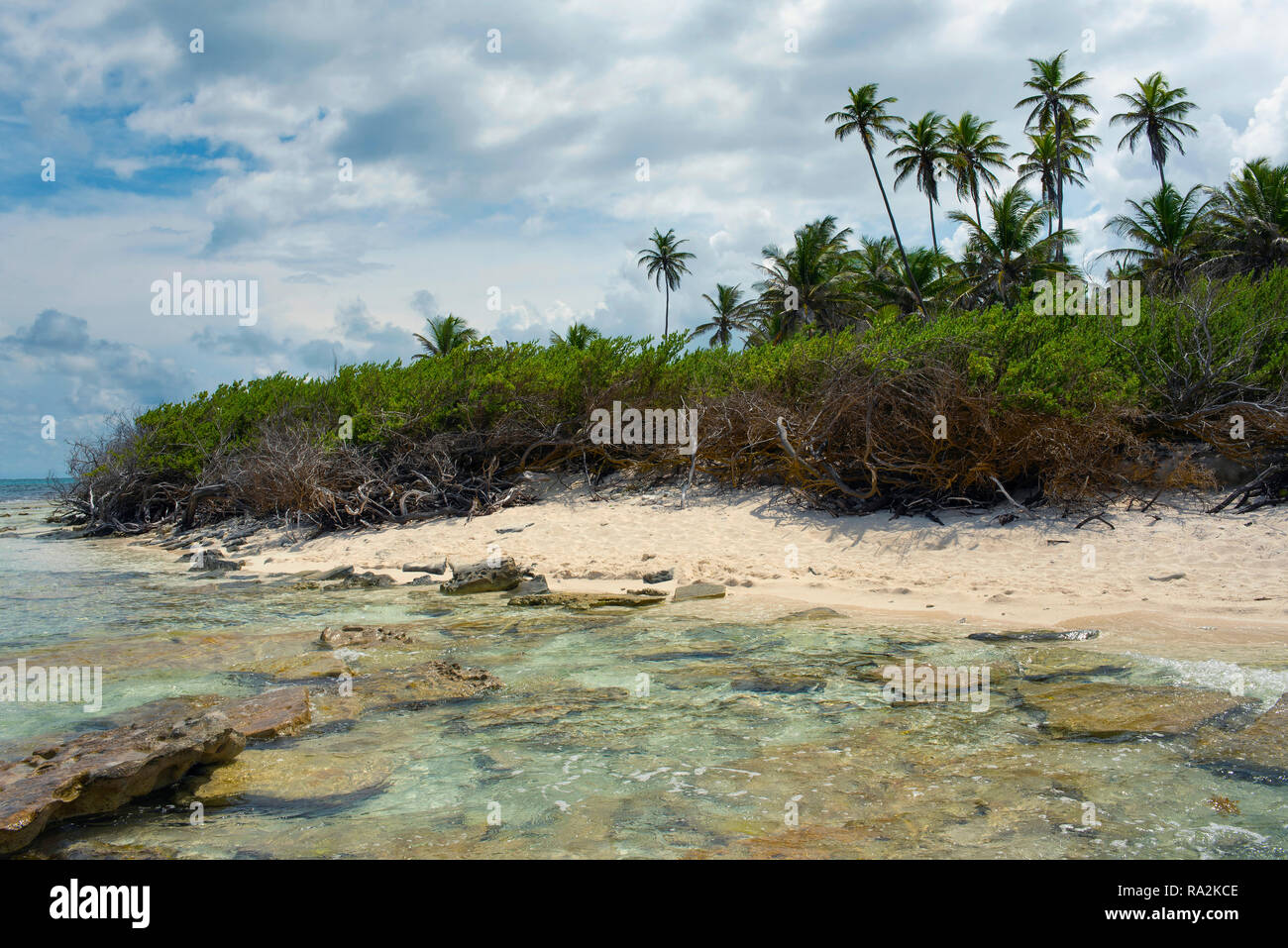 Caribbean beach with rocks, sand and palms. Johnny Cay, San Andrés island, Colombia. Oct 2018 Stock Photo