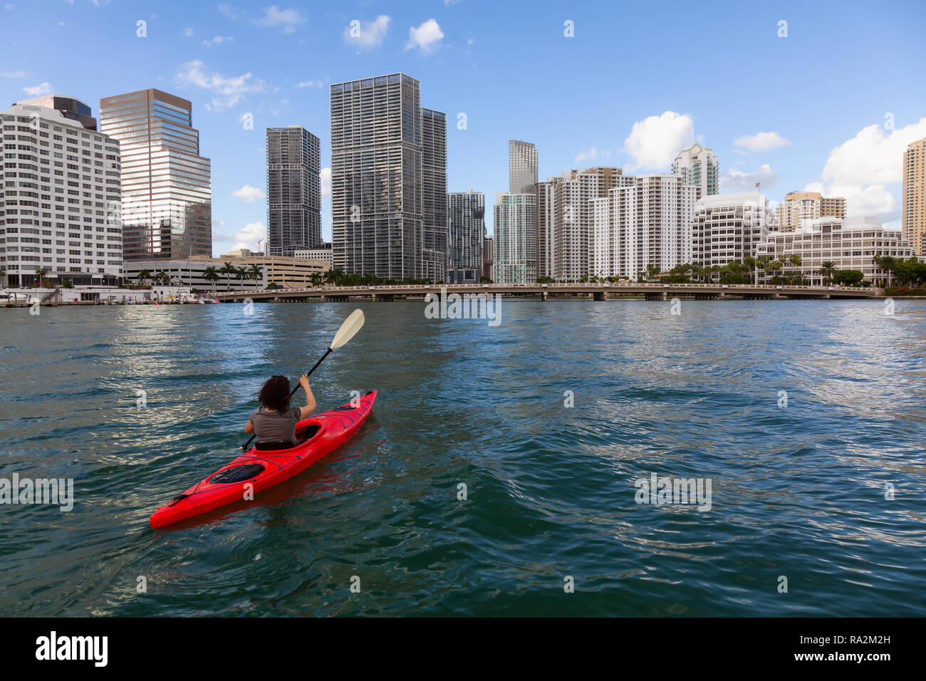 Adventurous girl kayaking in front of a modern Downtown Cityscape during a sunny evening. Taken in Miami, Florida, United States of America. Stock Photo