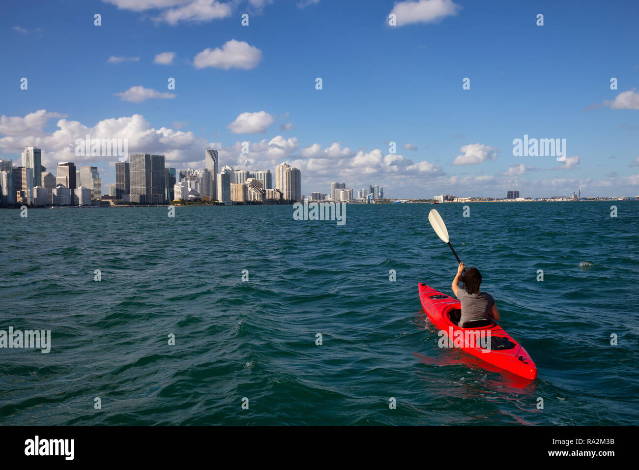 Adventurous girl kayaking in front of a modern Downtown Cityscape during a sunny evening. Taken in Miami, Florida, United States of America. Stock Photo