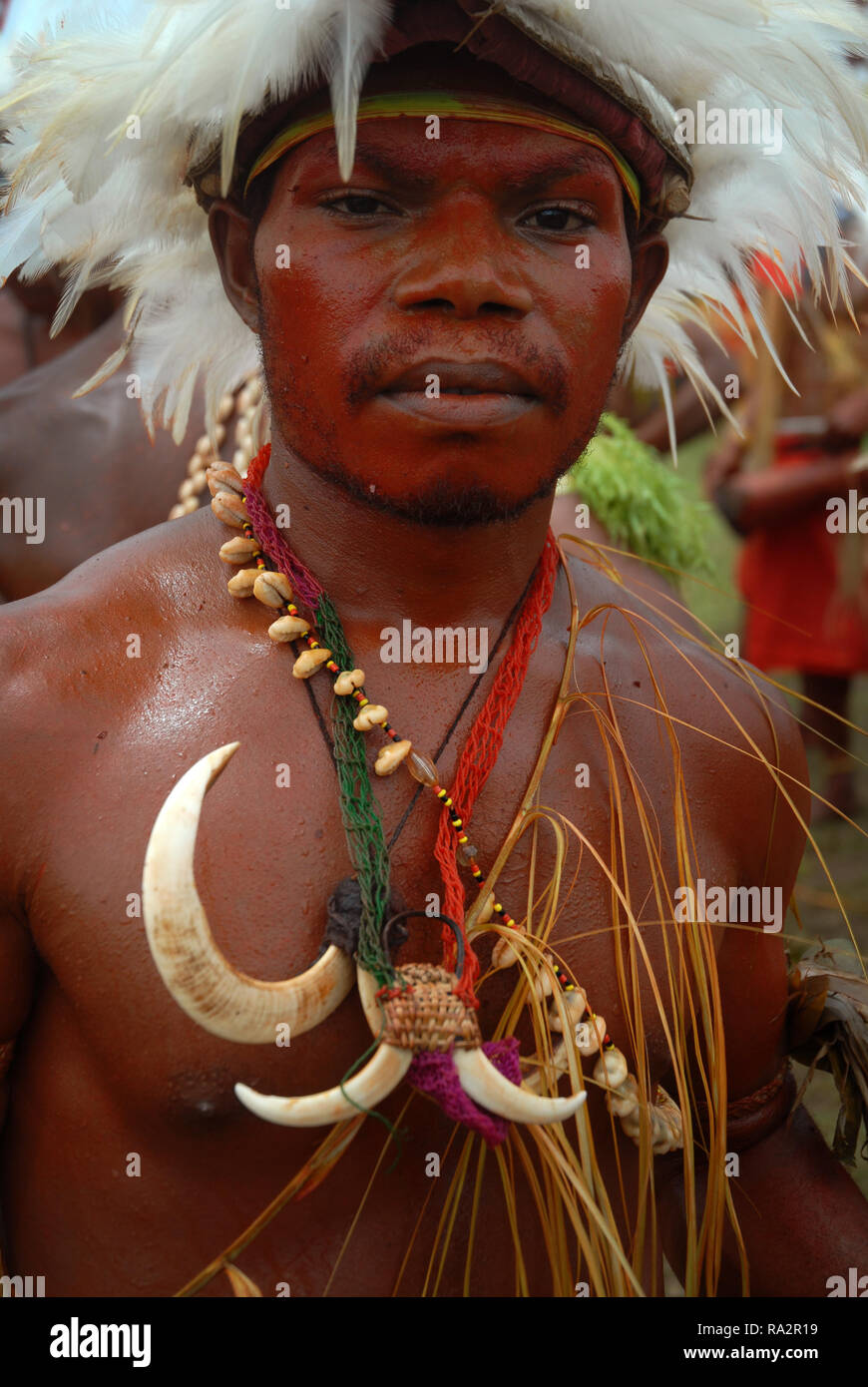 Colourfully dressed and face painted man with a feather head dress as part of the annual Sing Sing in Madang, Papua New Guinea. Stock Photo