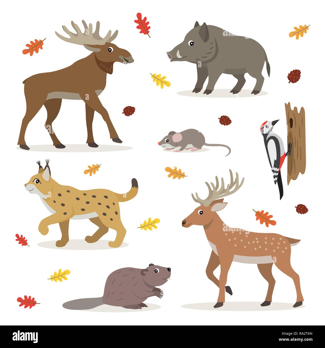 Set of forest wild animals isolated on white background Stock Vector