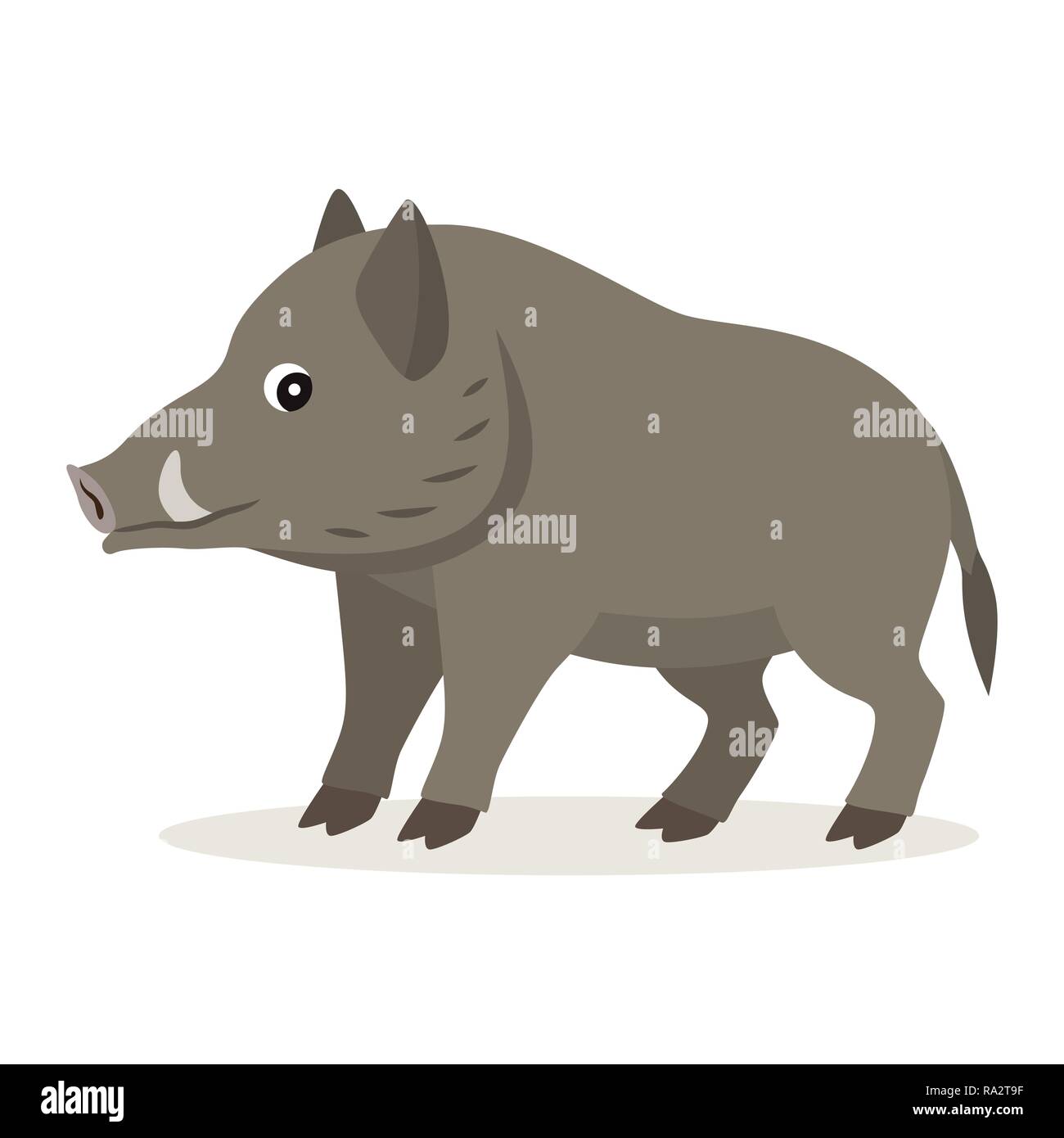 Cute forest animal, gray boar icon isolated on white background Stock Vector